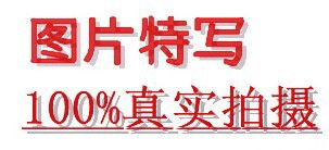 攜手共贏 揚帆藍海——大連海產品誠邀代理加盟商共拓市場